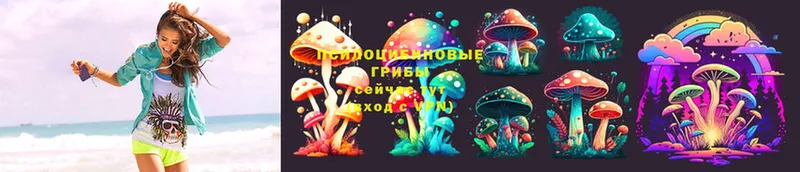 купить наркотик  Берёзовский  Галлюциногенные грибы MAGIC MUSHROOMS 